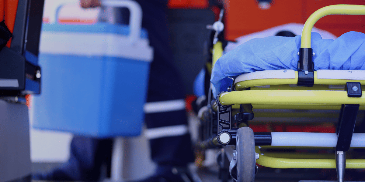 <Strong>Transplantation</Strong> 