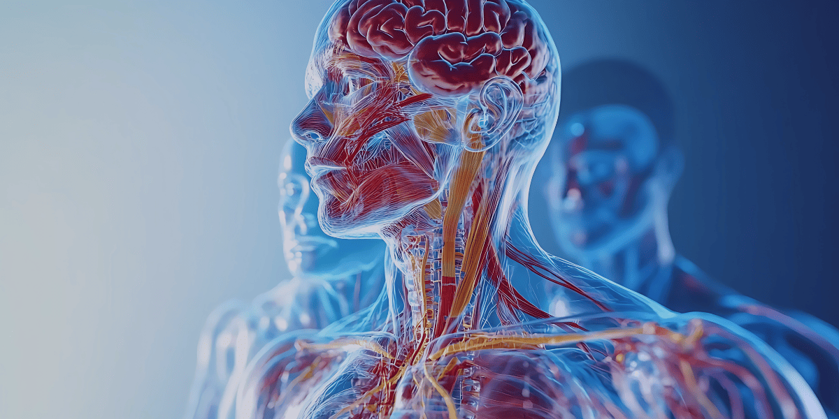 <Strong>Central Nervous System (CNS)</Strong> 