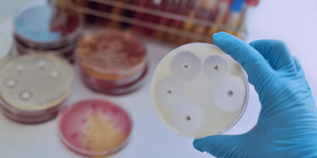 <Strong>Antimicrobials</Strong> 