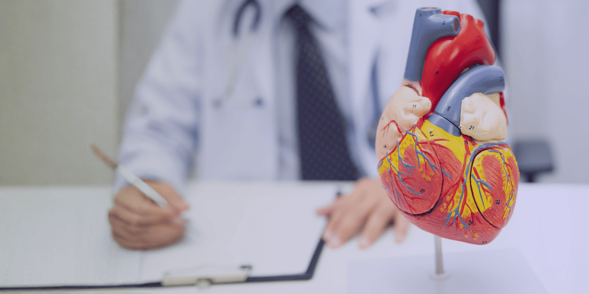 <Strong>Cardiovascular Diseases</Strong> 